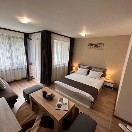 Borovets Gardens Studio Luaran gambar