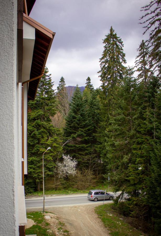 Borovets Gardens Studio Luaran gambar